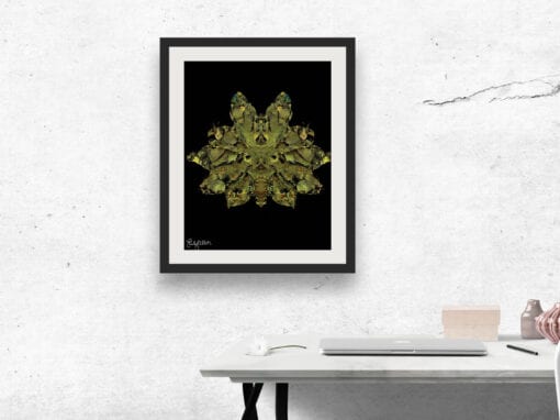 Emily Alber Art – Green Moth Art